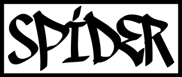 SPIDER logo
