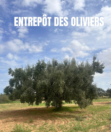 Entrepôt des Oliviers logo