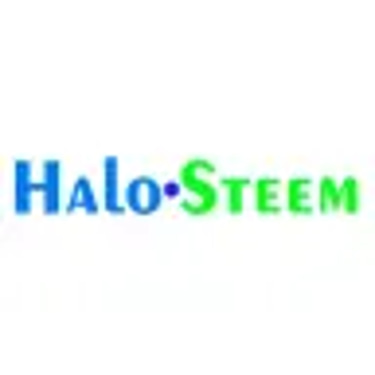 halo-teem generadores de vapor logo