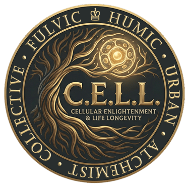 The Detox Dealer logo