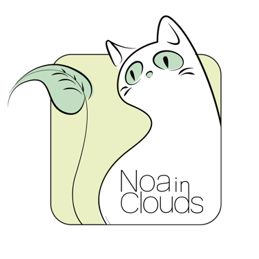 NOA IN CLOUDS logo