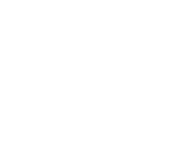 ODIN logo