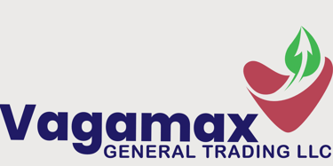 VAGA MAX logo