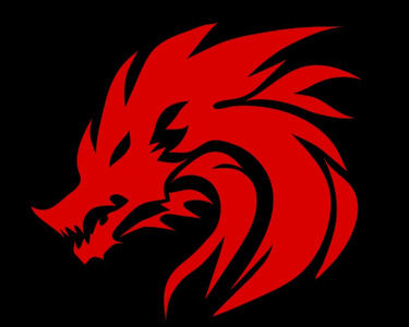 Detailing Dragons logo
