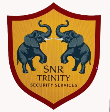 SecureGuard Pro logo