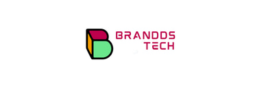 Brandds Tech logo