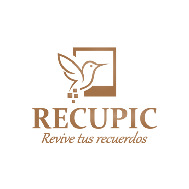 recupic logo