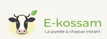 e-cossom logo