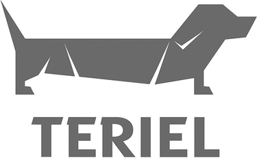 Teriel logo