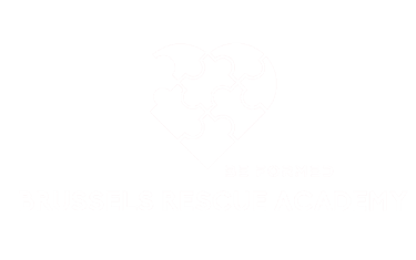 Brussels rescue academy logo