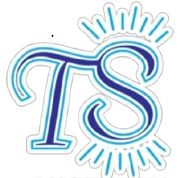 TS Consultoria logo