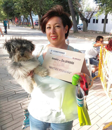 Cachorros en adopción en España logo