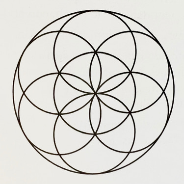 BIORESONANCE SANTEQUANTIQUE logo