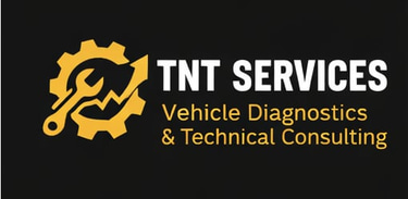 TNT Services logo
