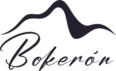 Bokeron.sv logo