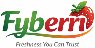 FYBERRI logo
