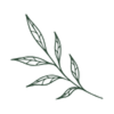 Gentle Roots Coaching logo