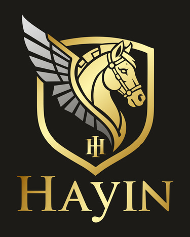 Hayin logo