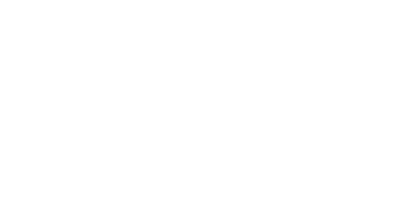 Gin Robusto logo