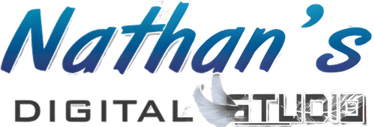 നാഥൻസ് ഡിജിറ്റൽ സ്റ്റുഡിയോ logo