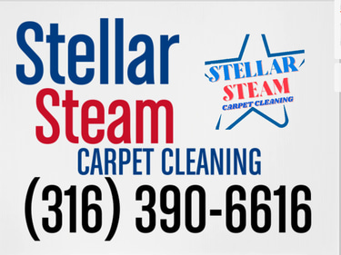 STELLAR STEAM logo