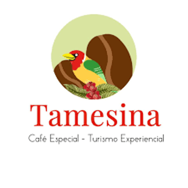 TAMESINA logo
