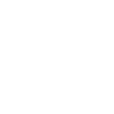 Dr Sheeban Syed logo