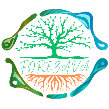 Forezava Workplan 2026 logo