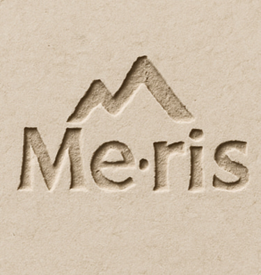 Me-ris logo
