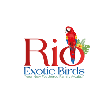 Rio Exotic Birds logo