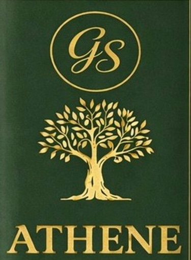 gsnatureagro.com logo