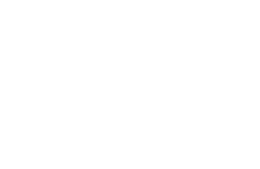 Easyvis logo