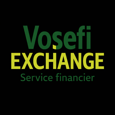 VOSEFI EXCHANGE logo