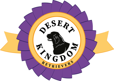 Golden Doodle Italia logo