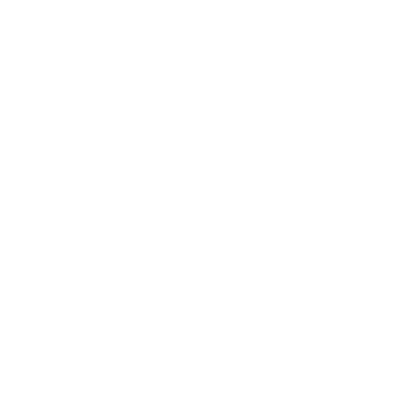 LSNK Jewels logo