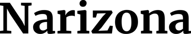 Narizona logo