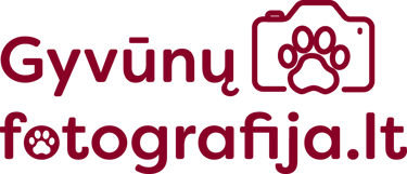 Gyvūnų fotografija logo