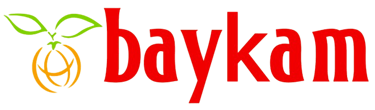 BAYKAM logo
