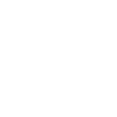 Winddancer Coaching logo