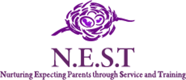 The Nest Inc. logo