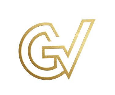 G2V Consultoria logo