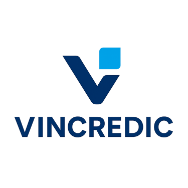 VINCREDIC AI IT Solutions logo