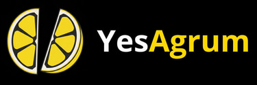 YesAgrum logo