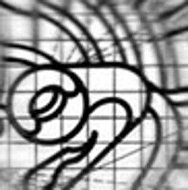 Diseilustracion logo