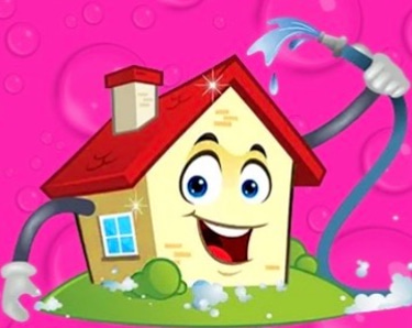 Top’s Soft Wash logo