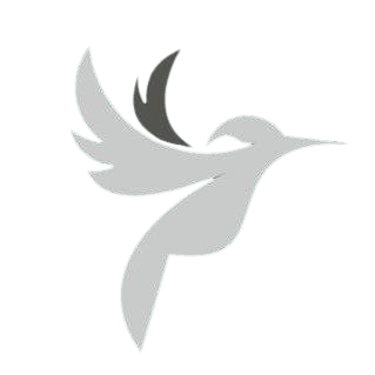Cerro del colibri logo