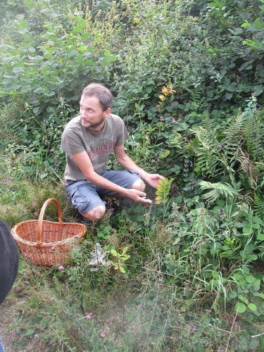 Hermann Naturopathie logo