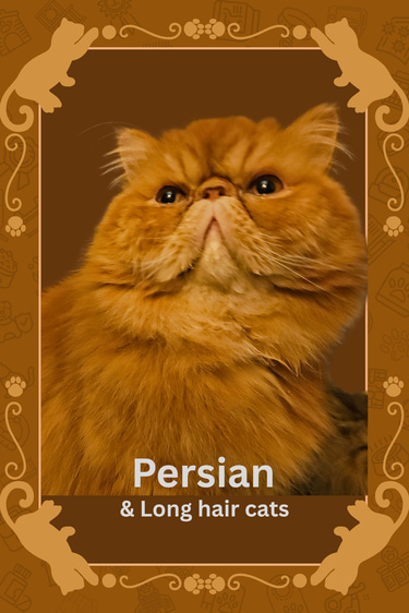 Persian Cat logo