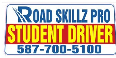 Road Skills Pro Driving Academy logo