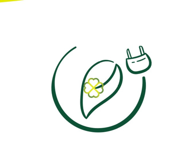 EcoVolt Solutions logo